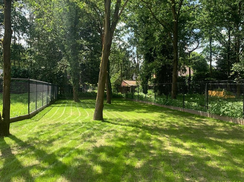 Terrain à vendre
                    à 3581 Beverlo